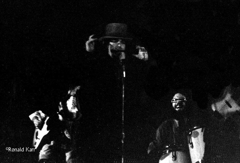 Capt. Beefheart