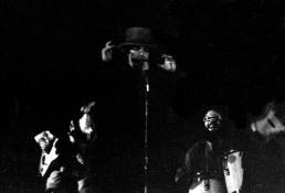Captain Beefheart