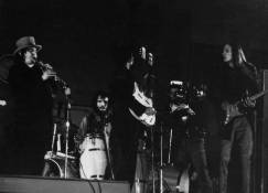 Captain Beefheart