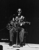 Fred McDowell